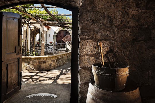 Exclusive Ischia island tour with vineyard visit