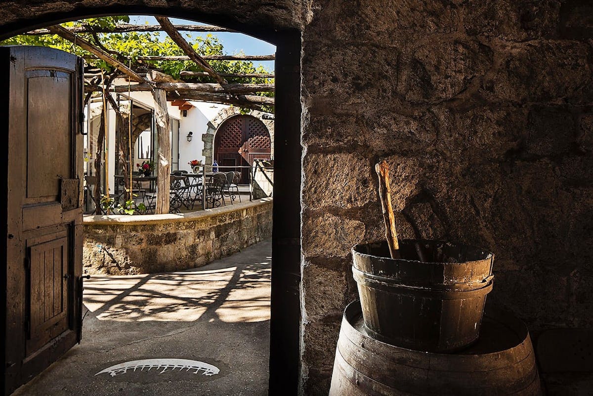 Esclusivo tour dell'isola di Ischia con visita ai vigneti