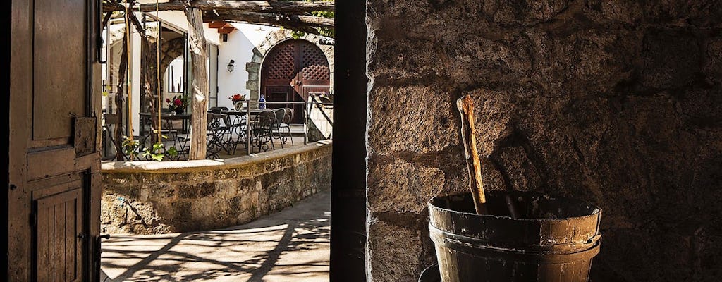 Exklusive Ischia-Inseltour mit Weingutbesuch