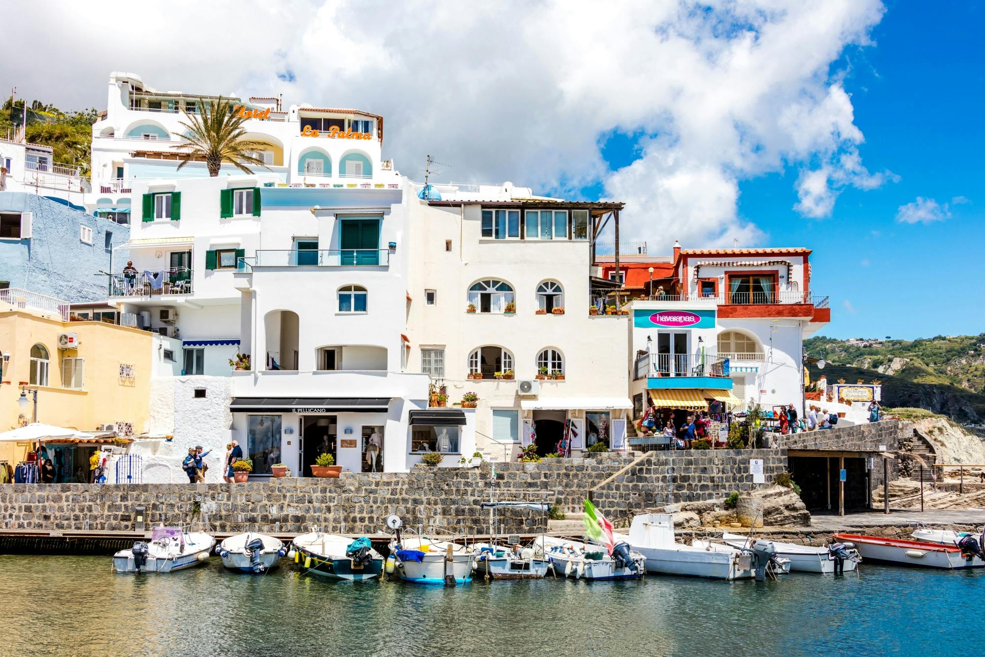 Exclusive Ischia island tour with vineyard visit