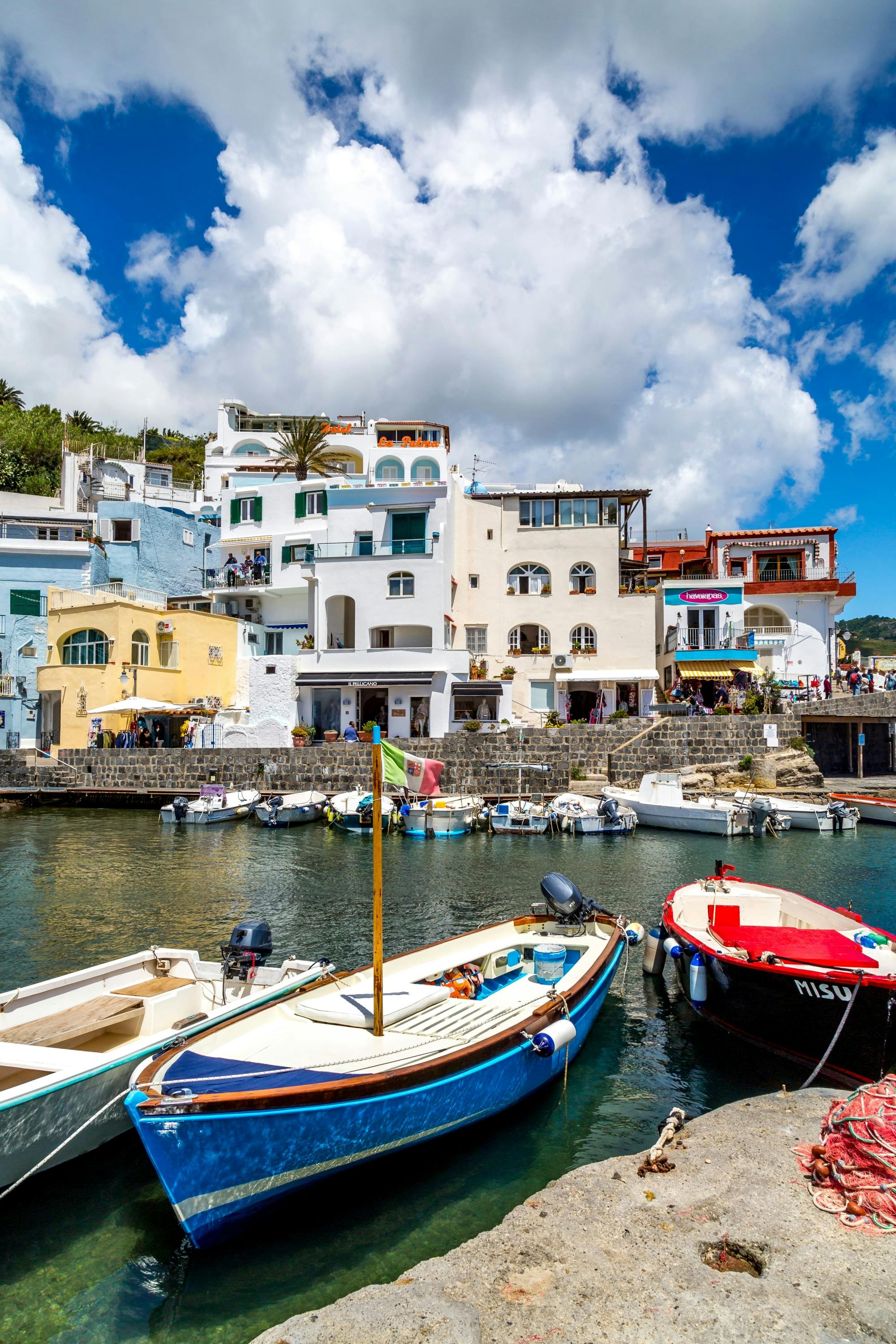 Exclusive Ischia island tour with vineyard visit
