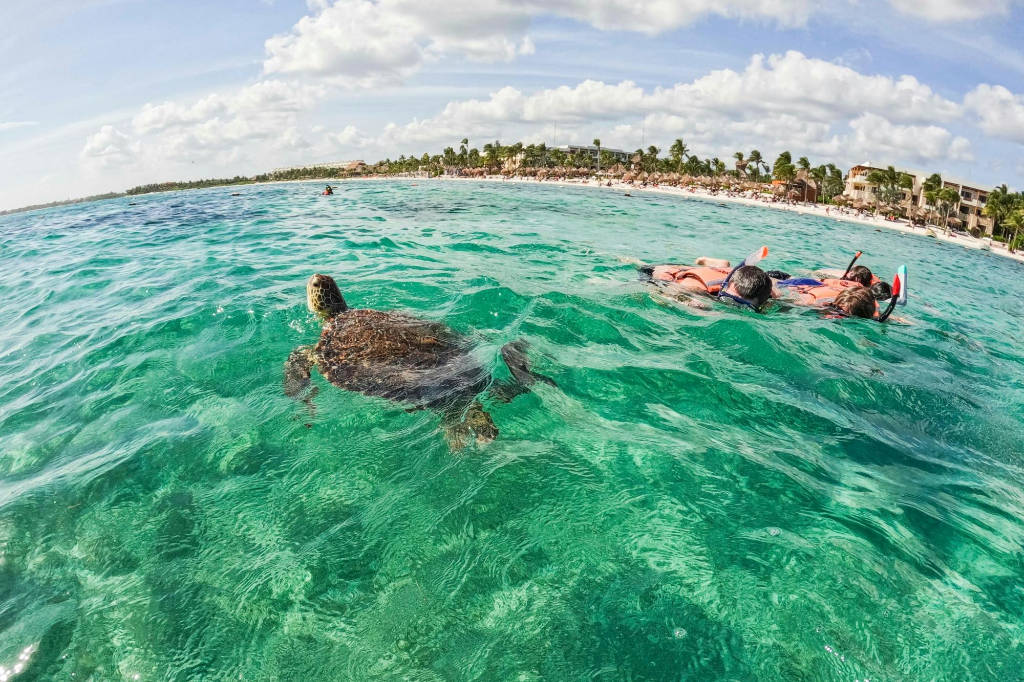 Tulum and Akumal full-day tour with Mayan ruins and snorkelling
