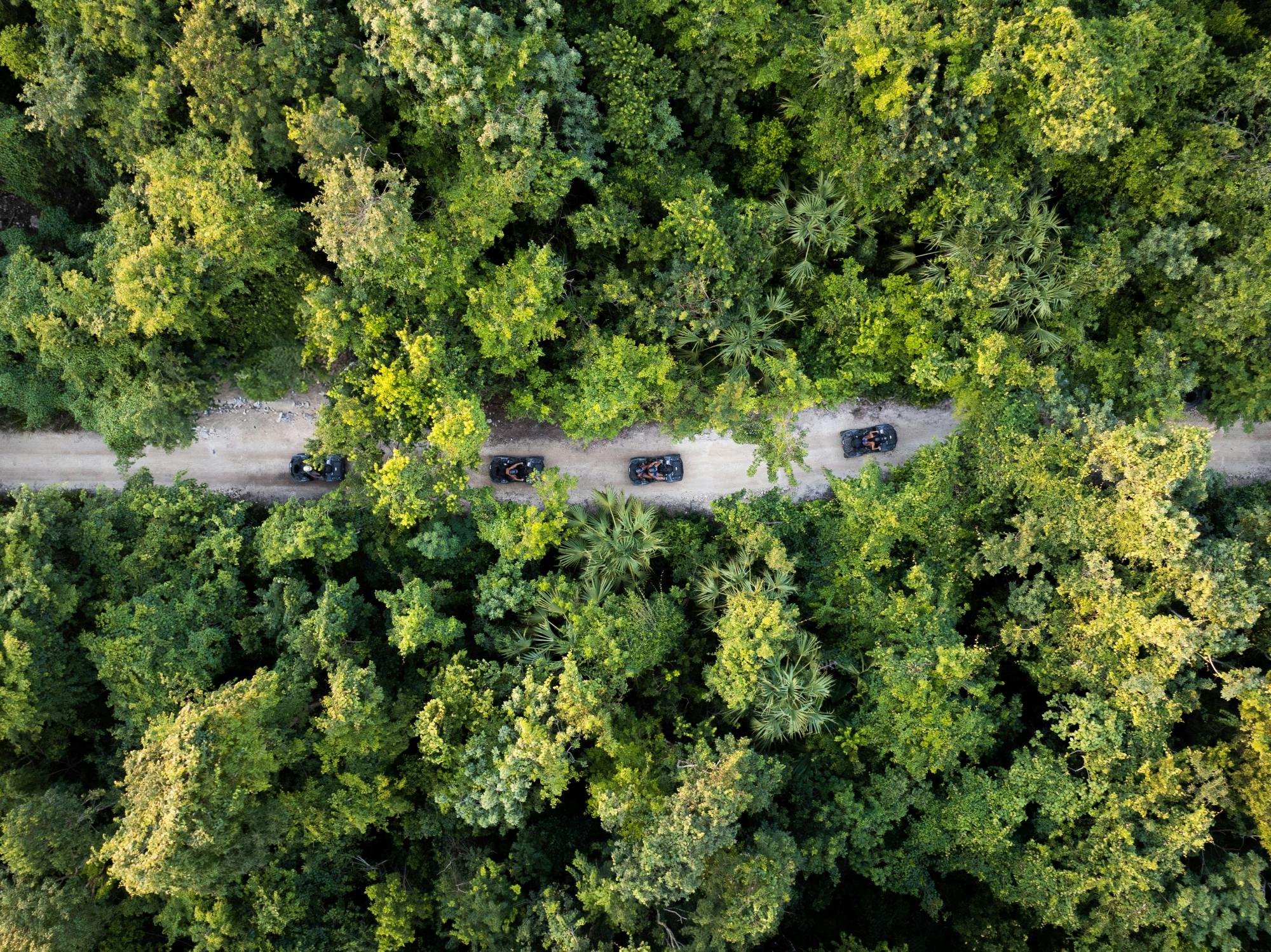 Express ATV jungle tour in Mexico with lunch