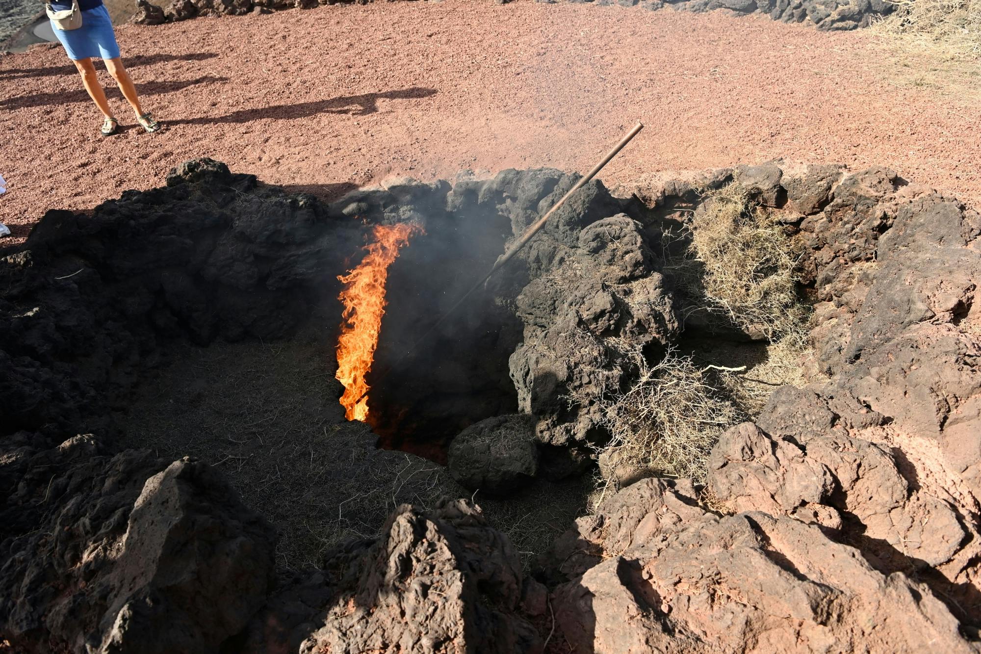 Camel Ride and Minivan Tour at Timanfaya National Park