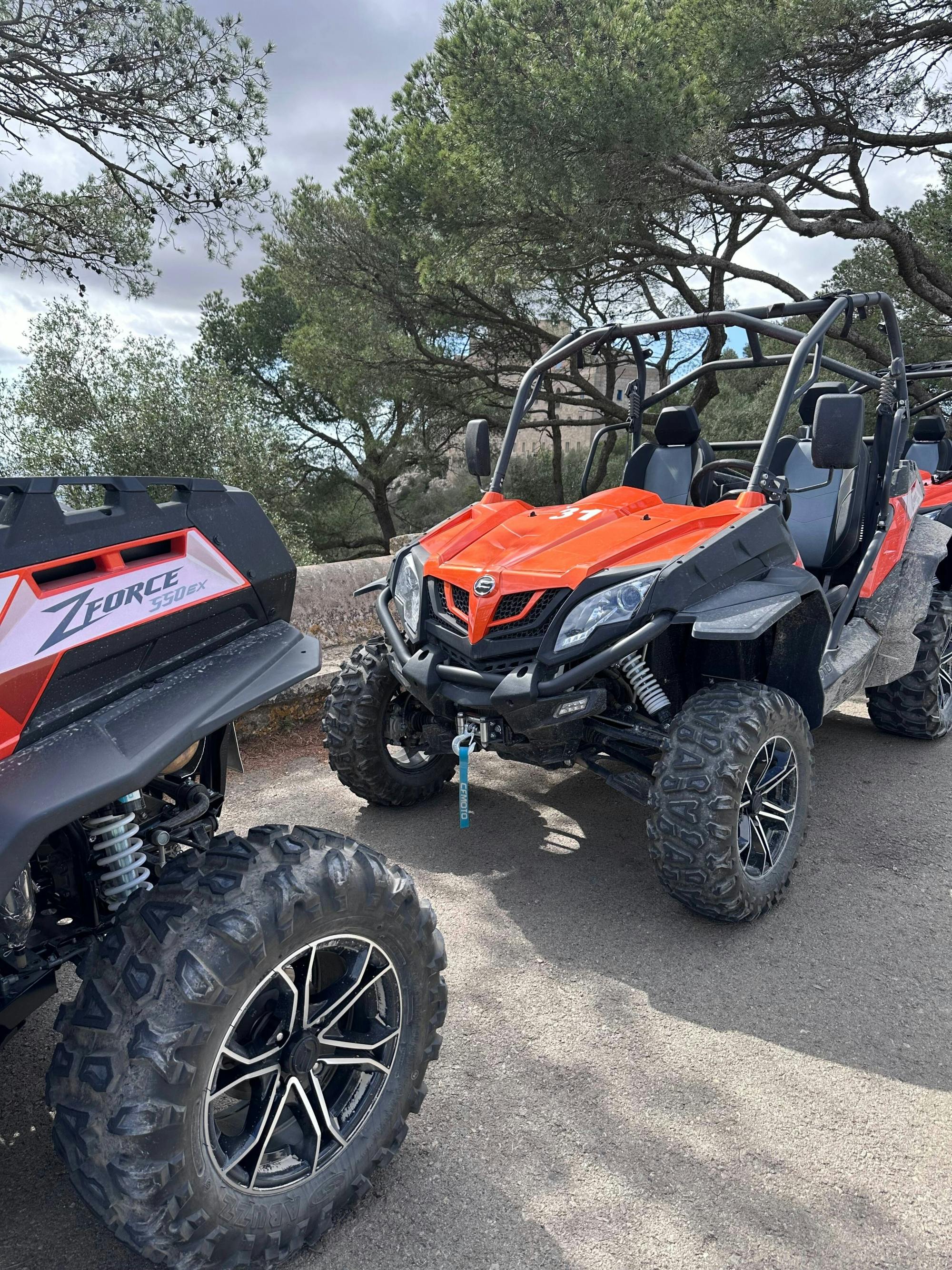 Majorca dragon buggy tour