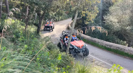 Mallorca Dragon buggytocht