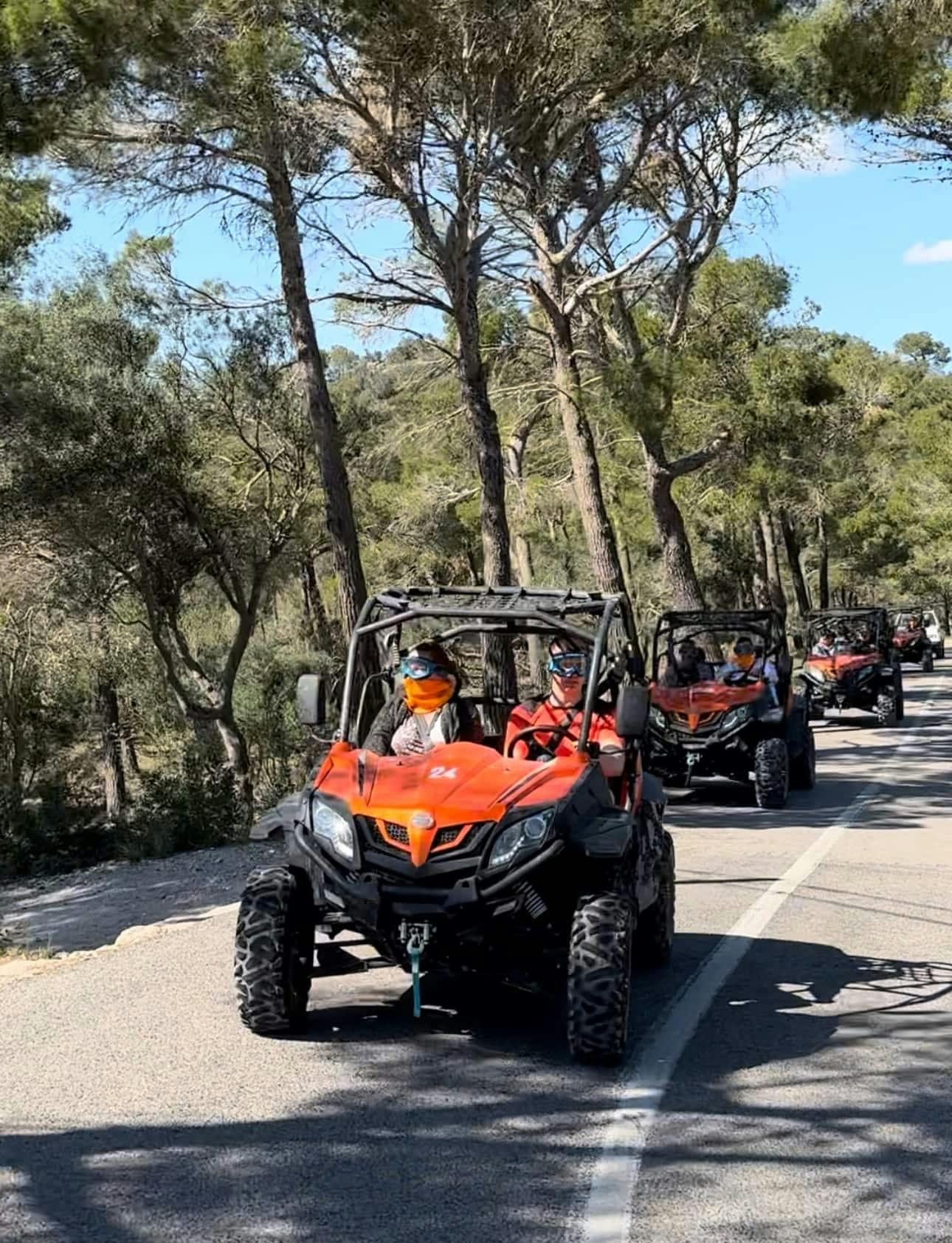 Majorca dragon buggy tour