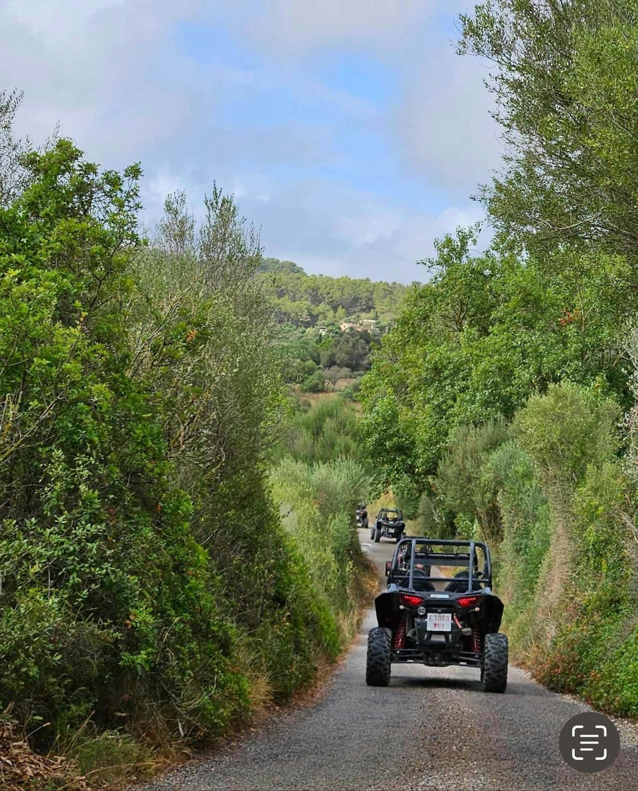 Majorca dragon buggy tour