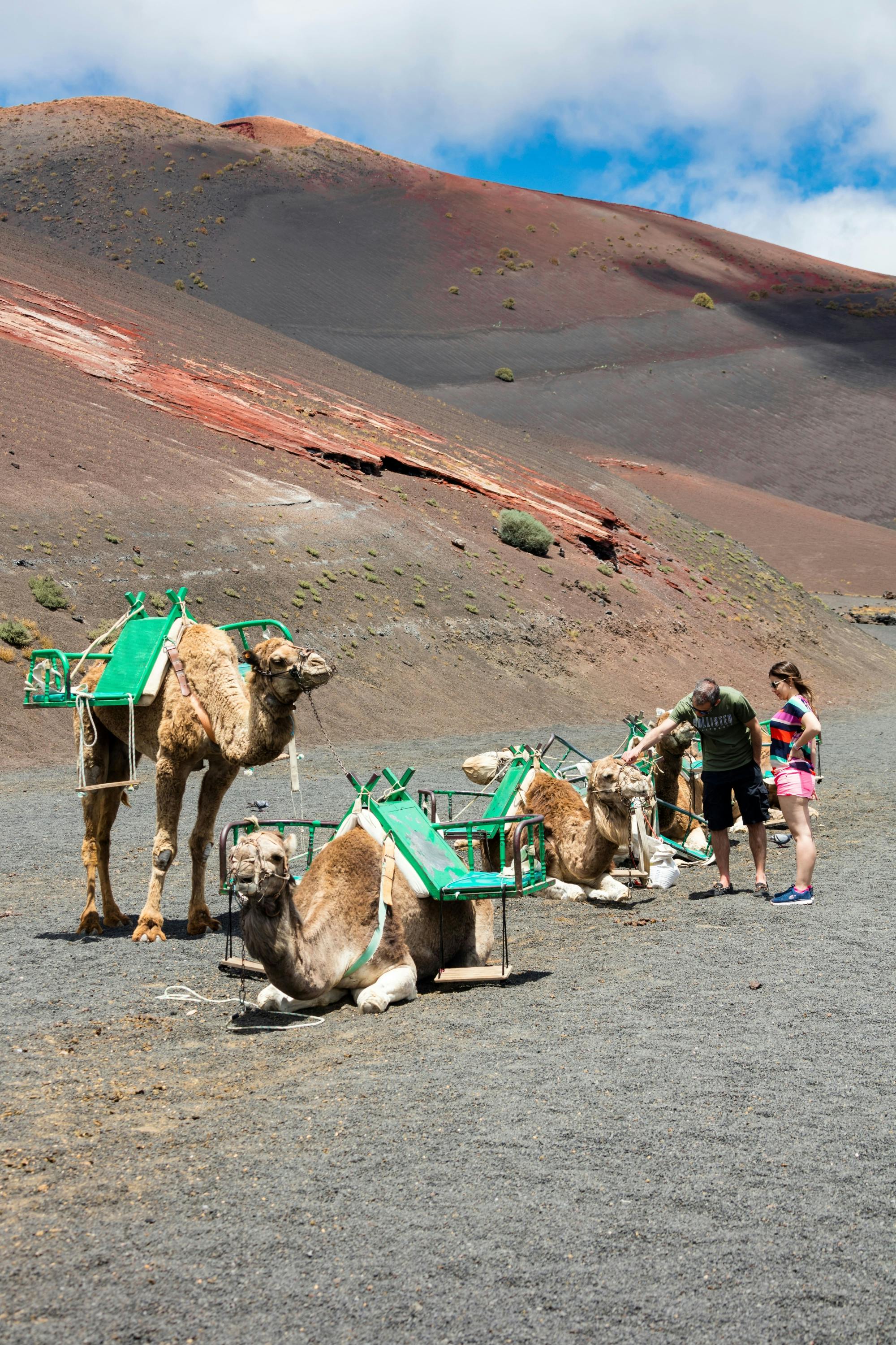 Camel Ride and Minivan Tour at Timanfaya National Park