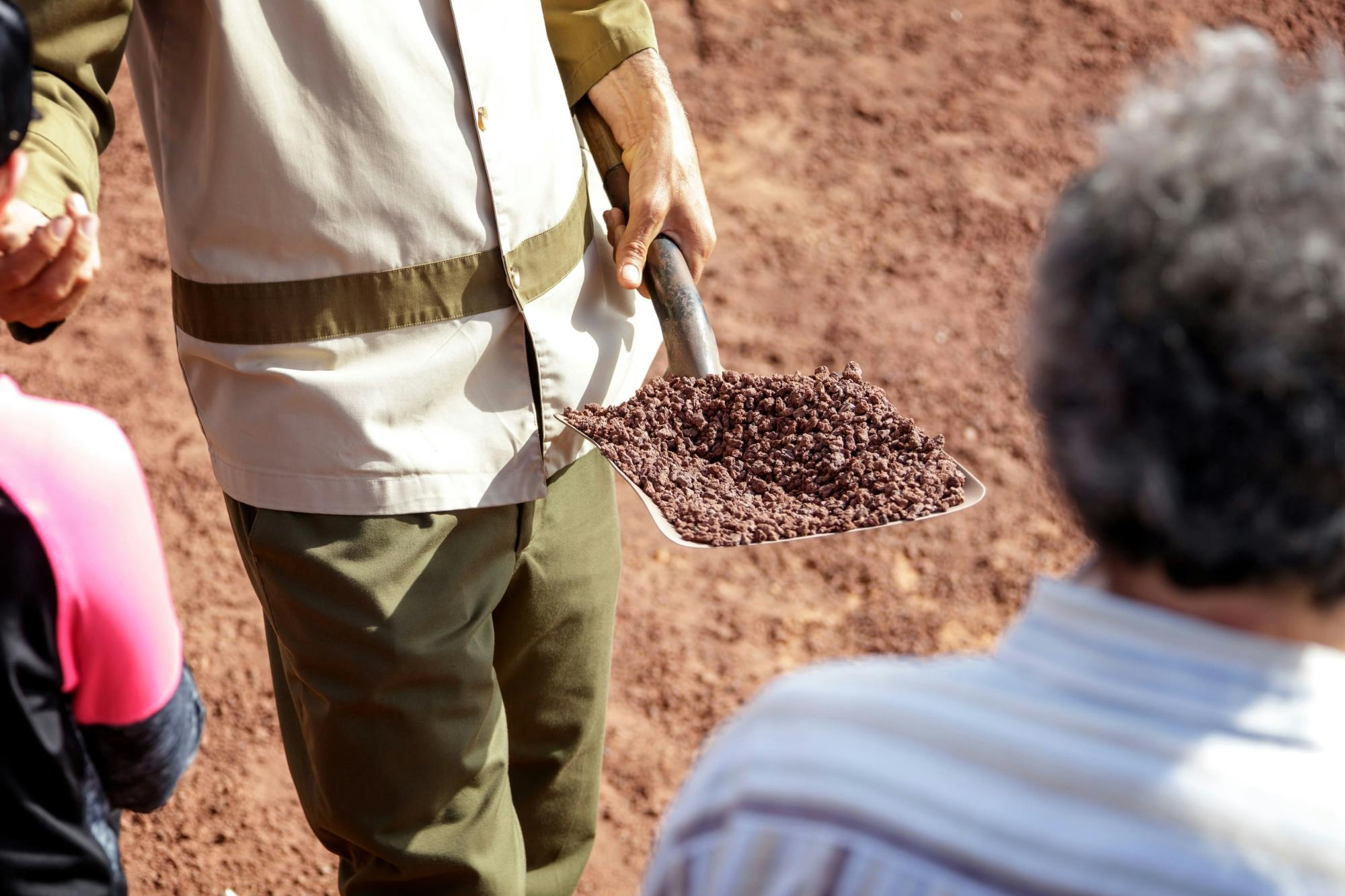 Camel Ride and Minivan Tour at Timanfaya National Park