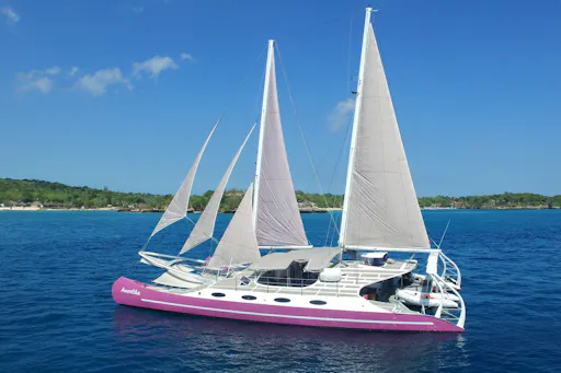 Lembongan Island cruise on Aneecha or Paula catamaran