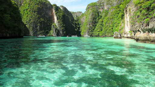 Early Bird Phi Phi Islands by Speedboat