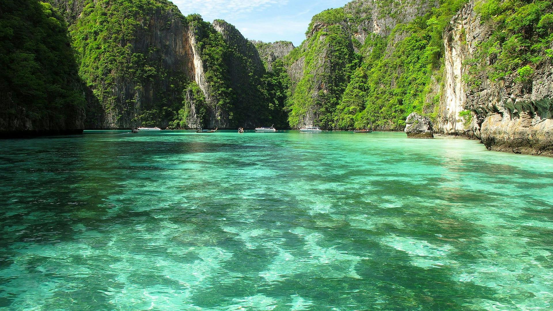 Early Bird Phi Phi Islands by Speedboat