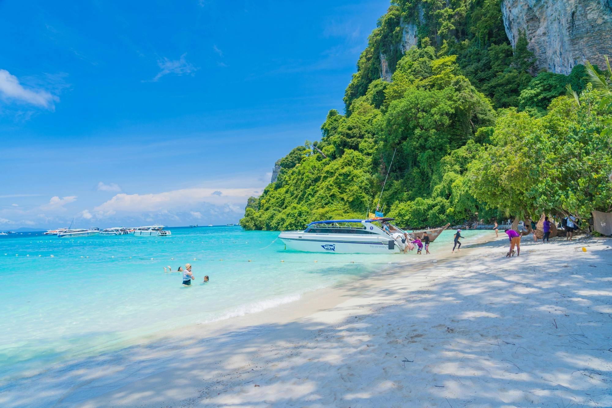 Full-day Phi Phi and Bamboo Islands tour by speed catamaran from Khao Lak