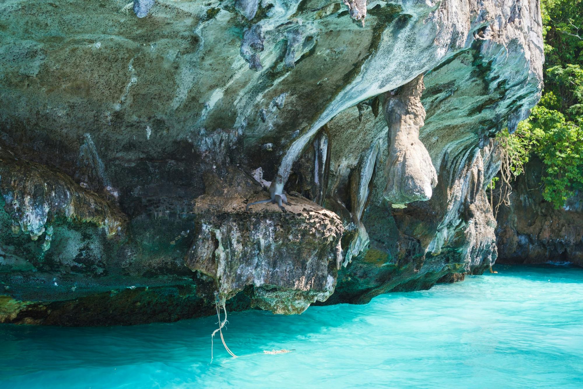 Full-day Phi Phi and Bamboo Islands tour by speed catamaran from Khao Lak