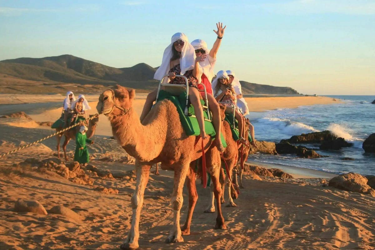 Kookles en kamelentocht met lunch vanuit Agadir