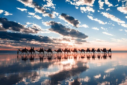 Giro in cammello e avventura in buggy al tramonto con cena barbecue