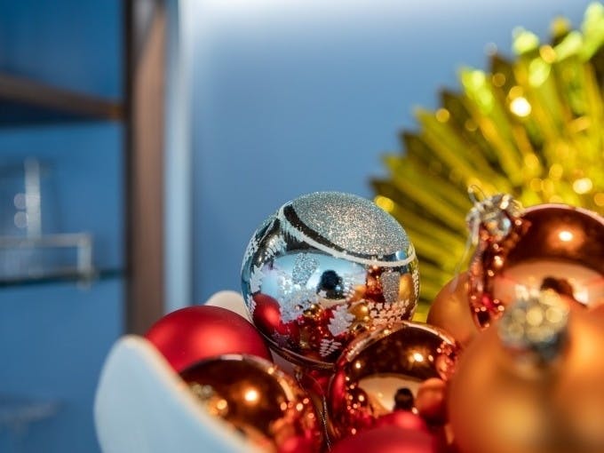 Christmas boat tour on a solar catamaran