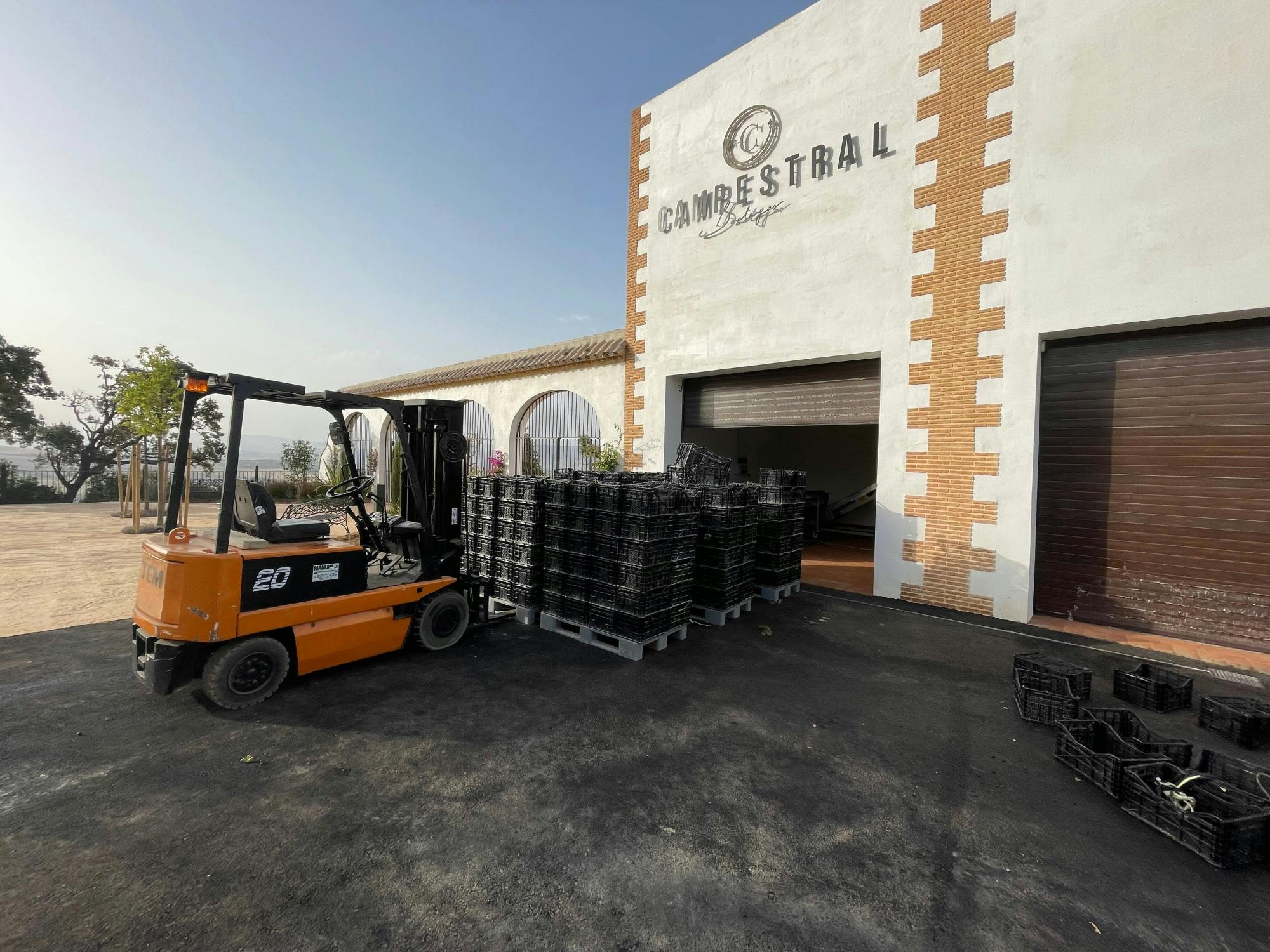 Half-day guided tour and wine tasting at Bodegas Campestral in Arcos