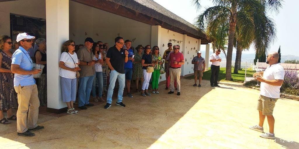 Half-day guided tour and wine tasting at Bodegas Campestral in Arcos
