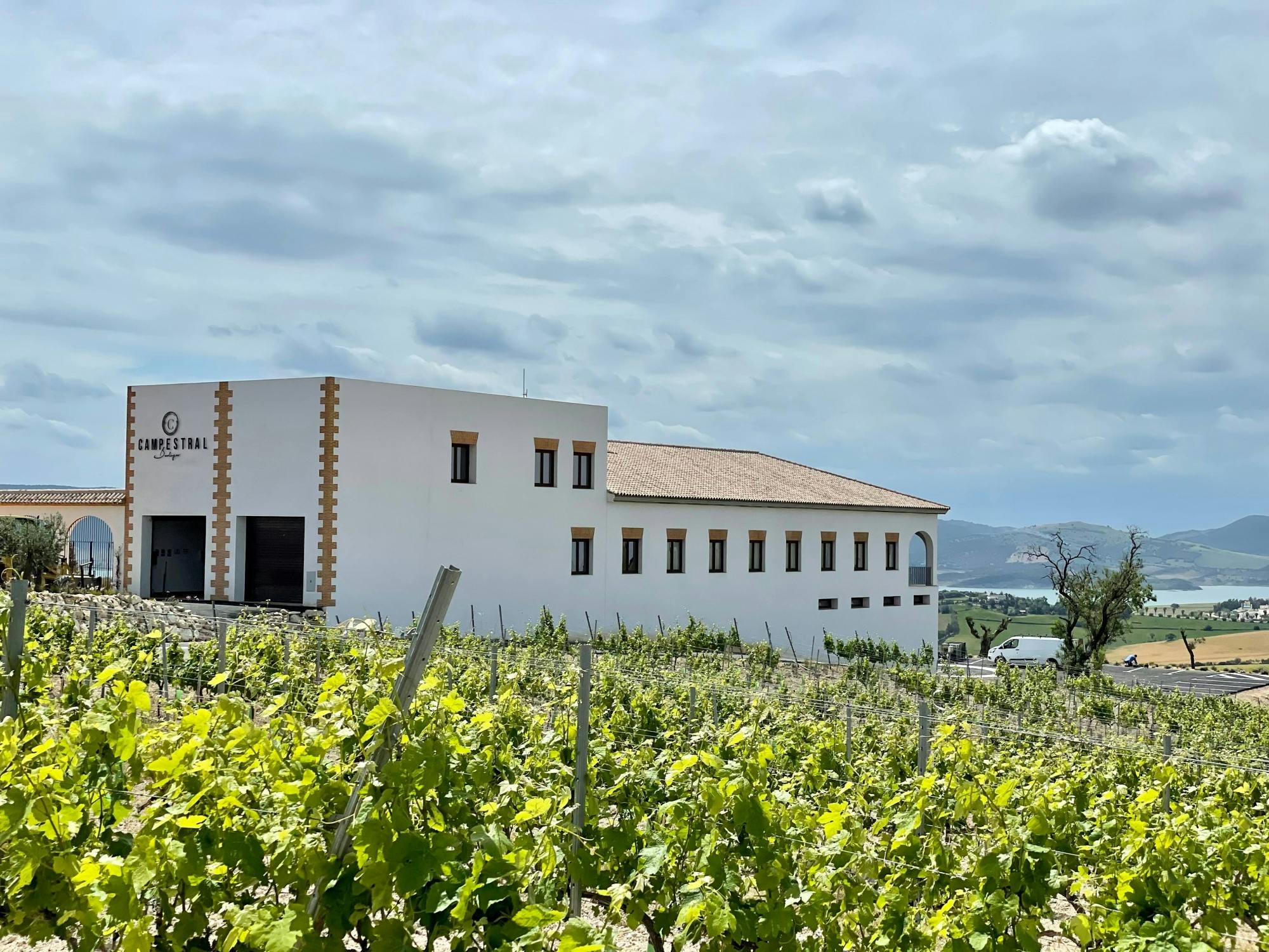 Half-day guided tour and wine tasting at Bodegas Campestral in Arcos
