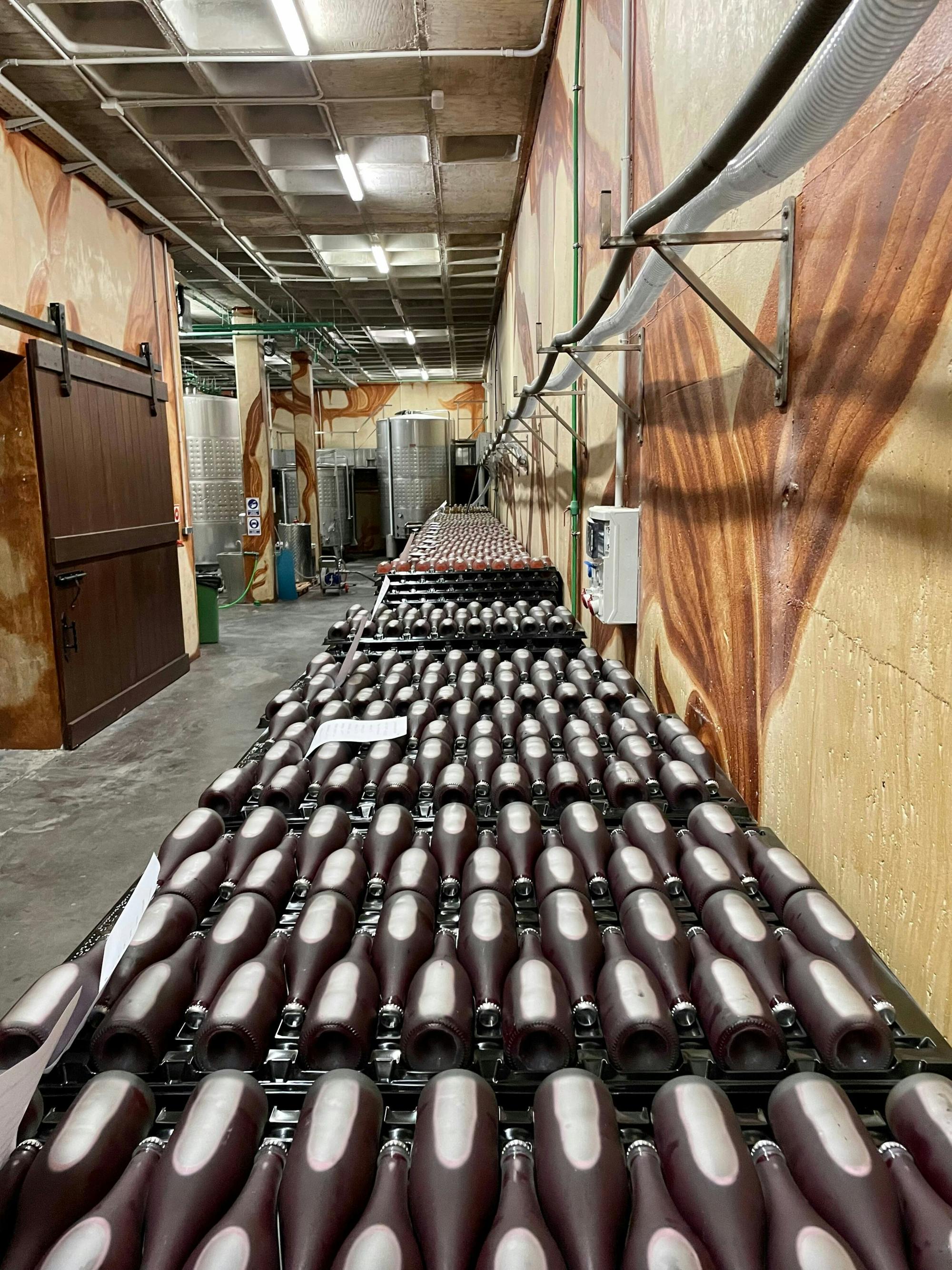 Half-day guided tour and wine tasting at Bodegas Campestral in Arcos