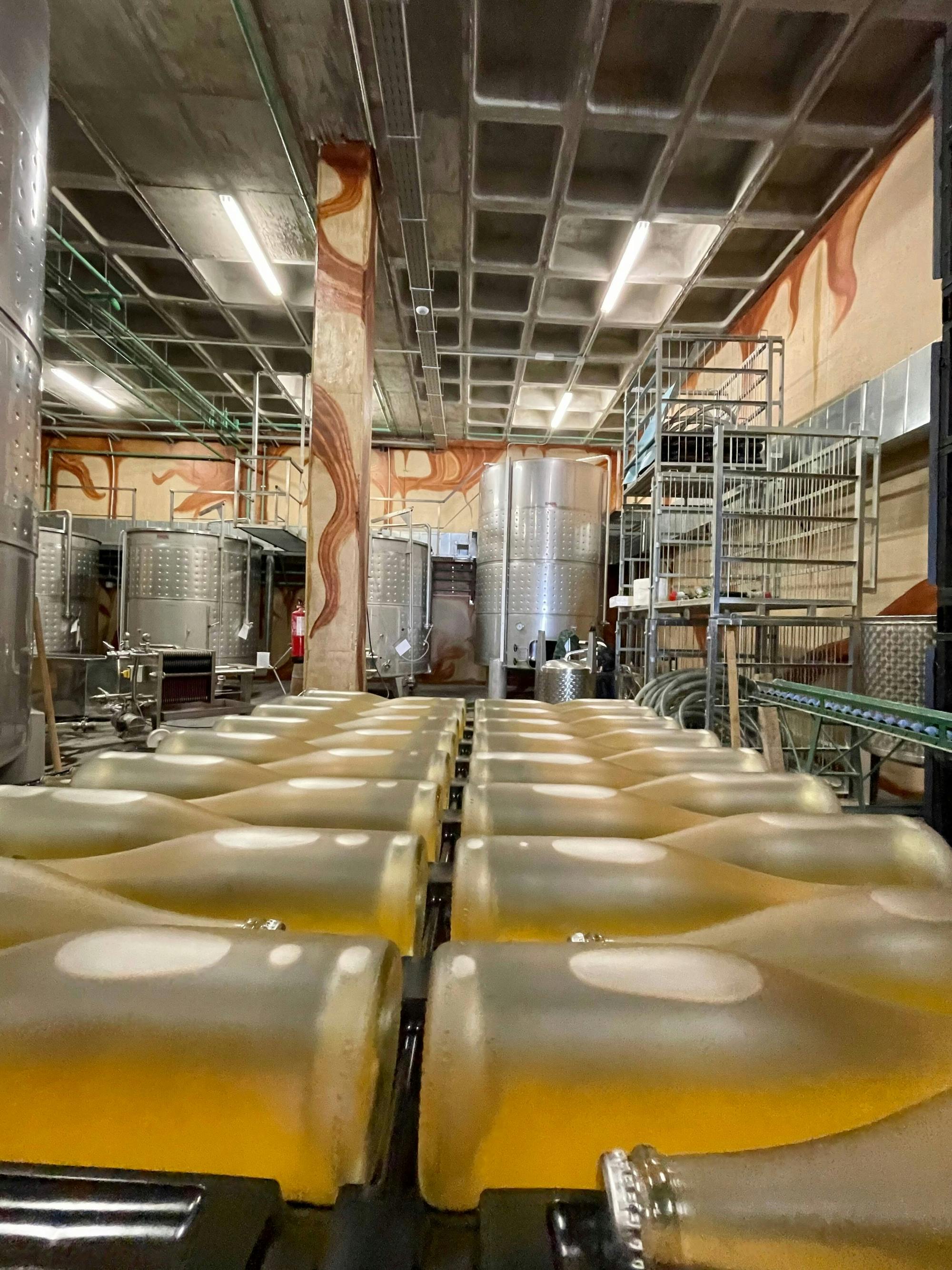 Half-day guided tour and wine tasting at Bodegas Campestral in Arcos