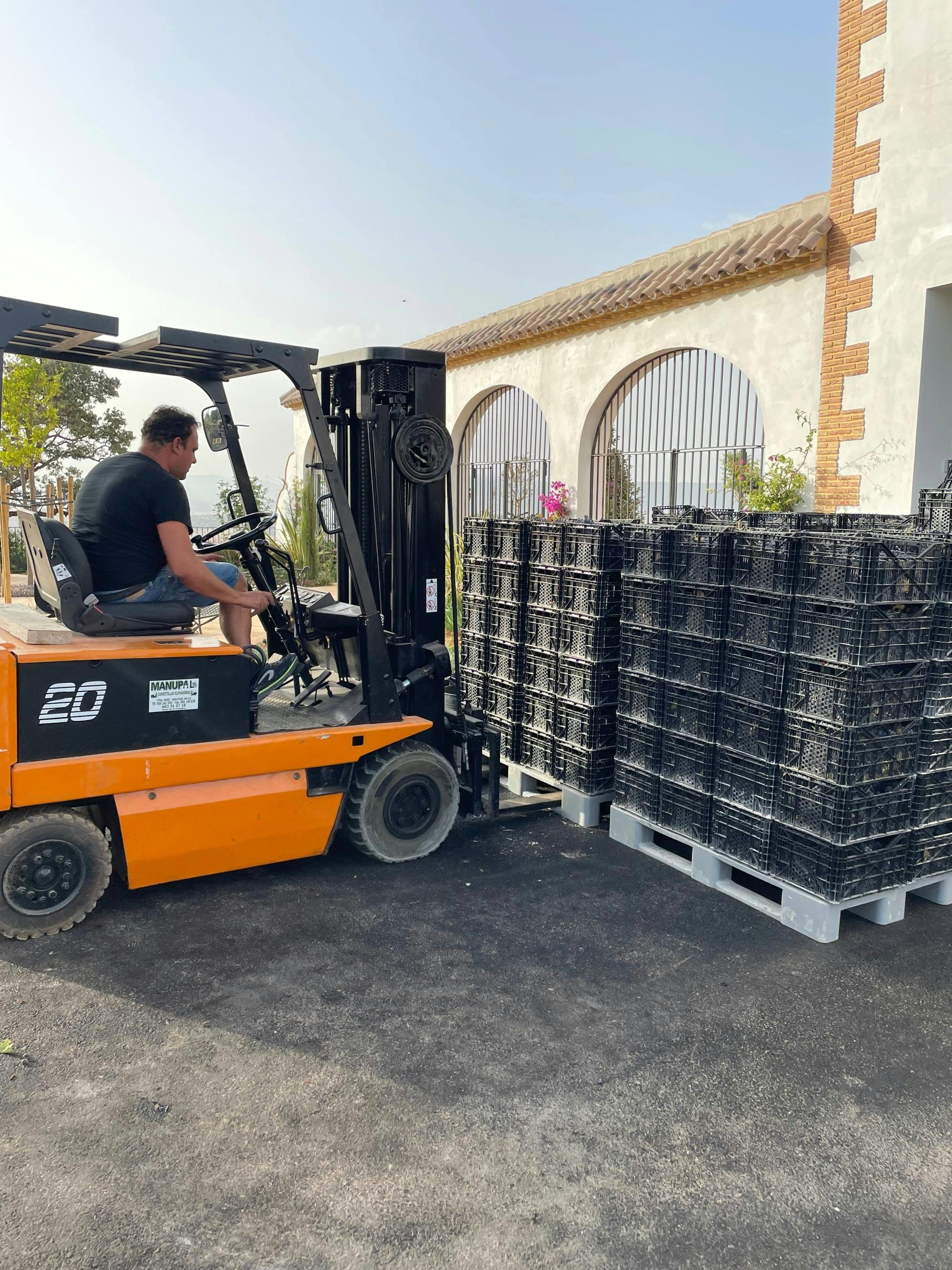 Half-day guided tour and wine tasting at Bodegas Campestral in Arcos