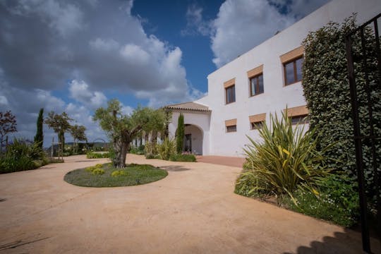Visita guidata di mezza giornata e degustazione di vini presso Bodegas Campestral ad Arcos