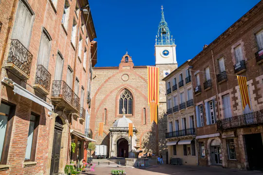 Perpignan 2-hour introductory walking tour with a local