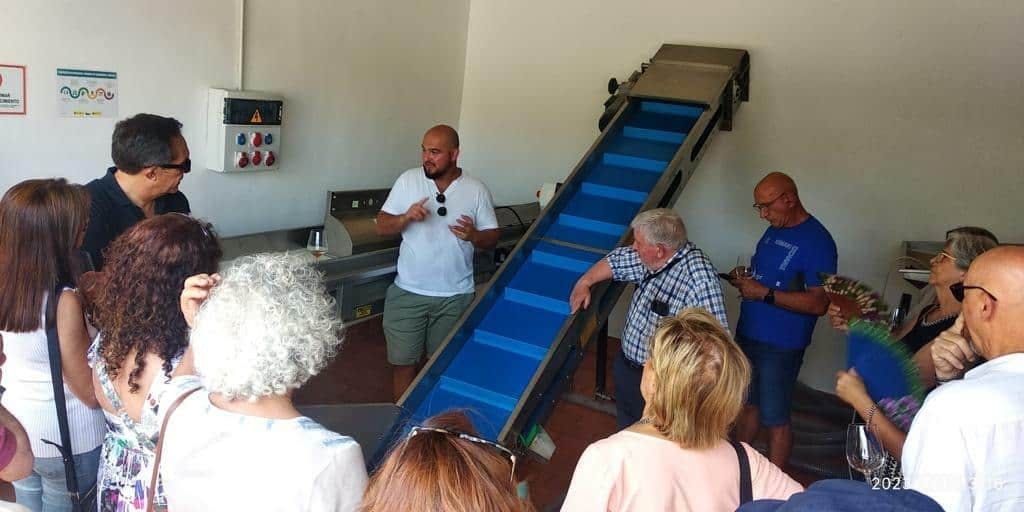 Half-day guided tour and wine tasting at Bodegas Campestral in Arcos