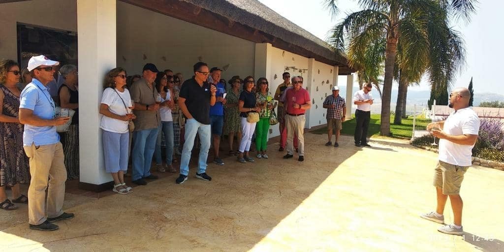 Half-day guided tour and wine tasting at Bodegas Campestral in Arcos