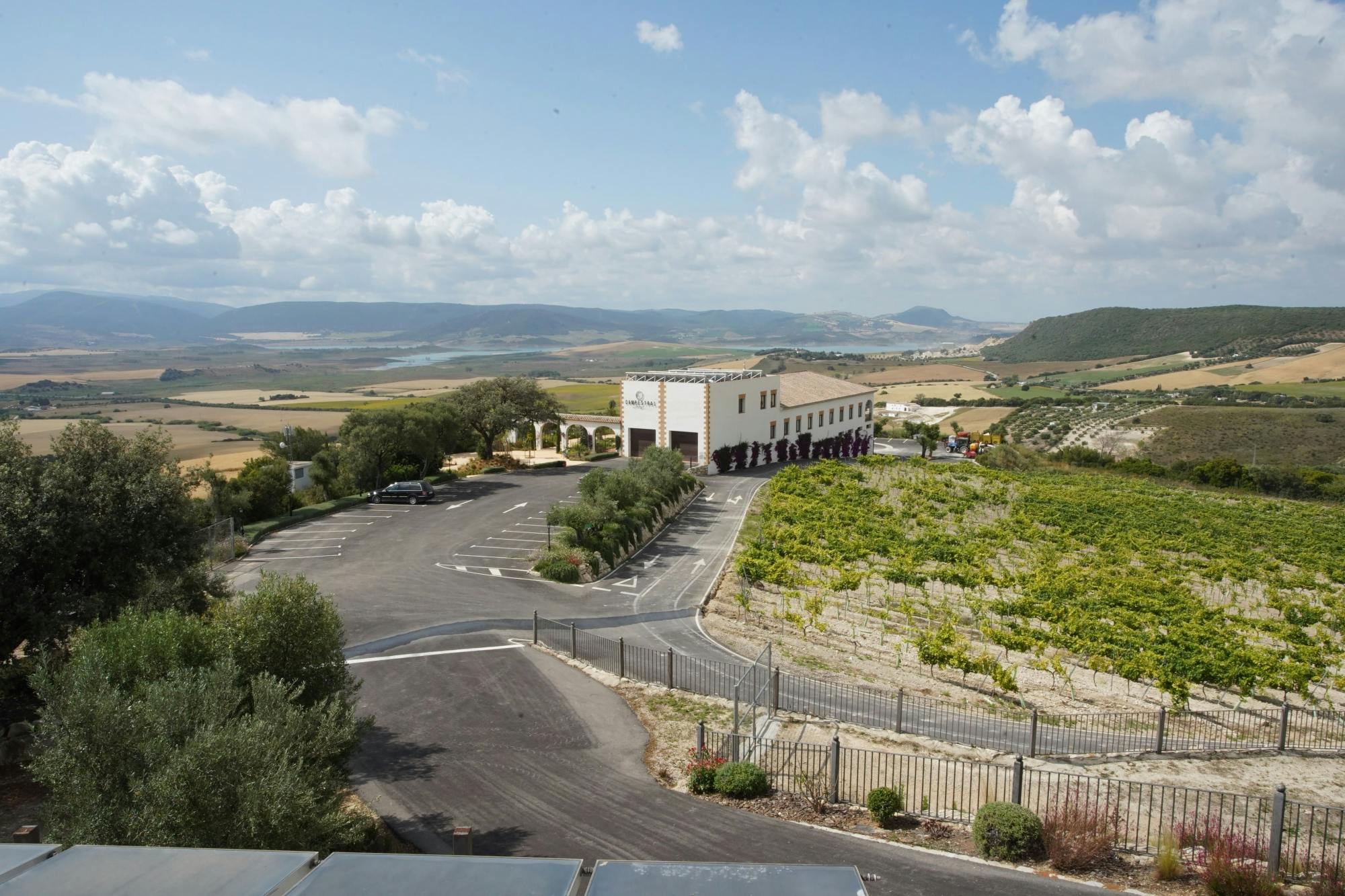 Half-day guided tour and wine tasting at Bodegas Campestral in Arcos