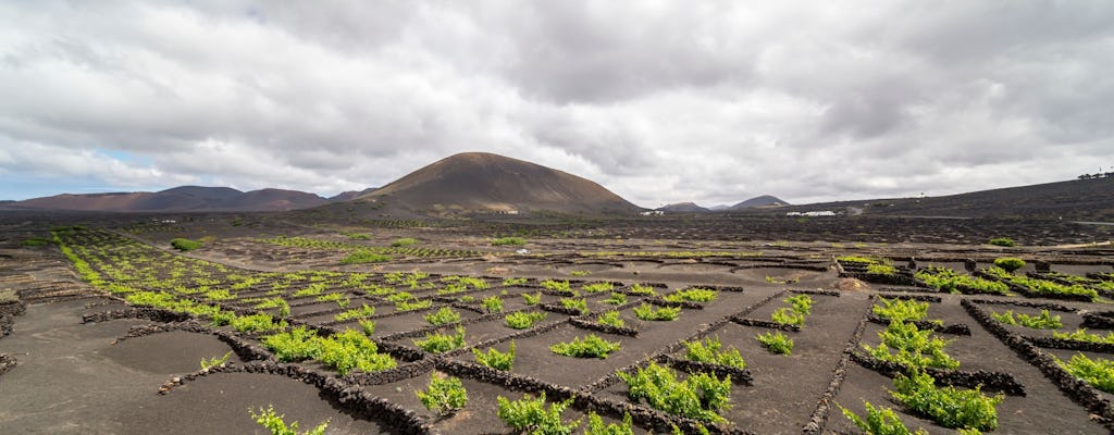 Excursion guidée en moto à trois roues à Lanzarote