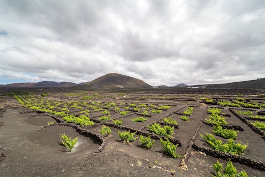Excursion guidée en moto à trois roues à Lanzarote