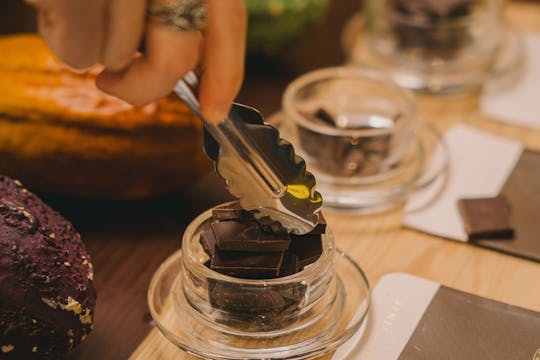 The chocolate experience WOW Museum ticket
