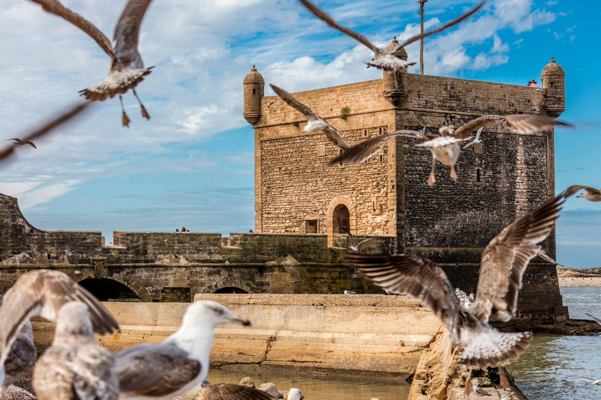 Essaouira Medina and Harbour Tour with Argan Coop Visit