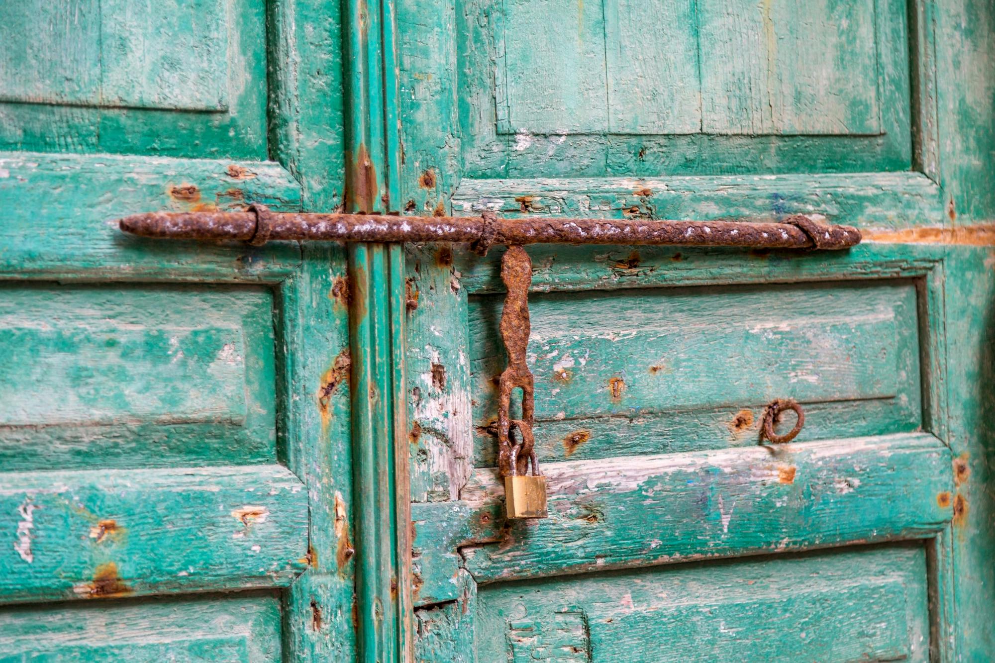 Essaouira Medina and Harbour Tour with Argan Coop Visit