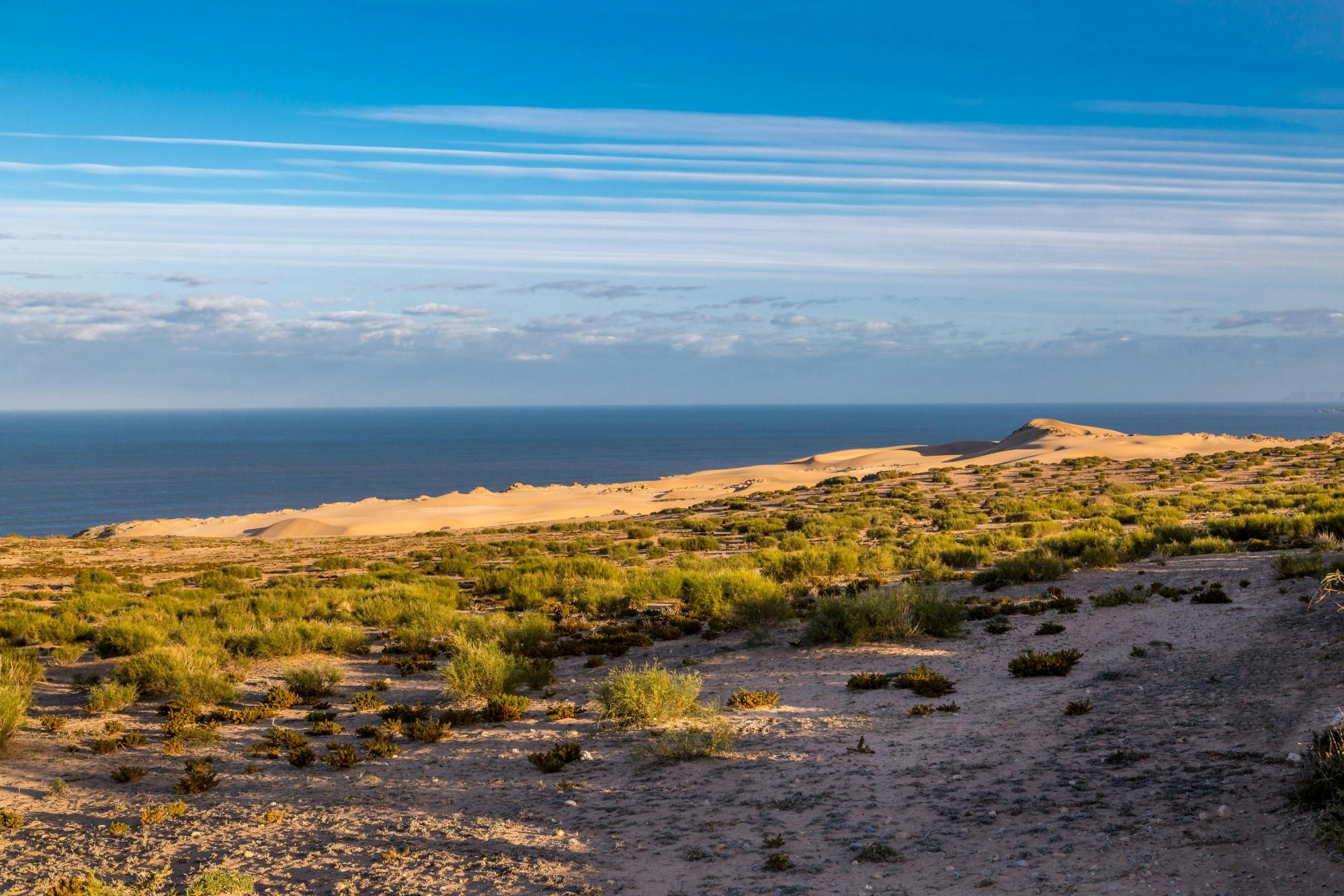 Essaouira Medina and Harbour Tour with Argan Coop Visit