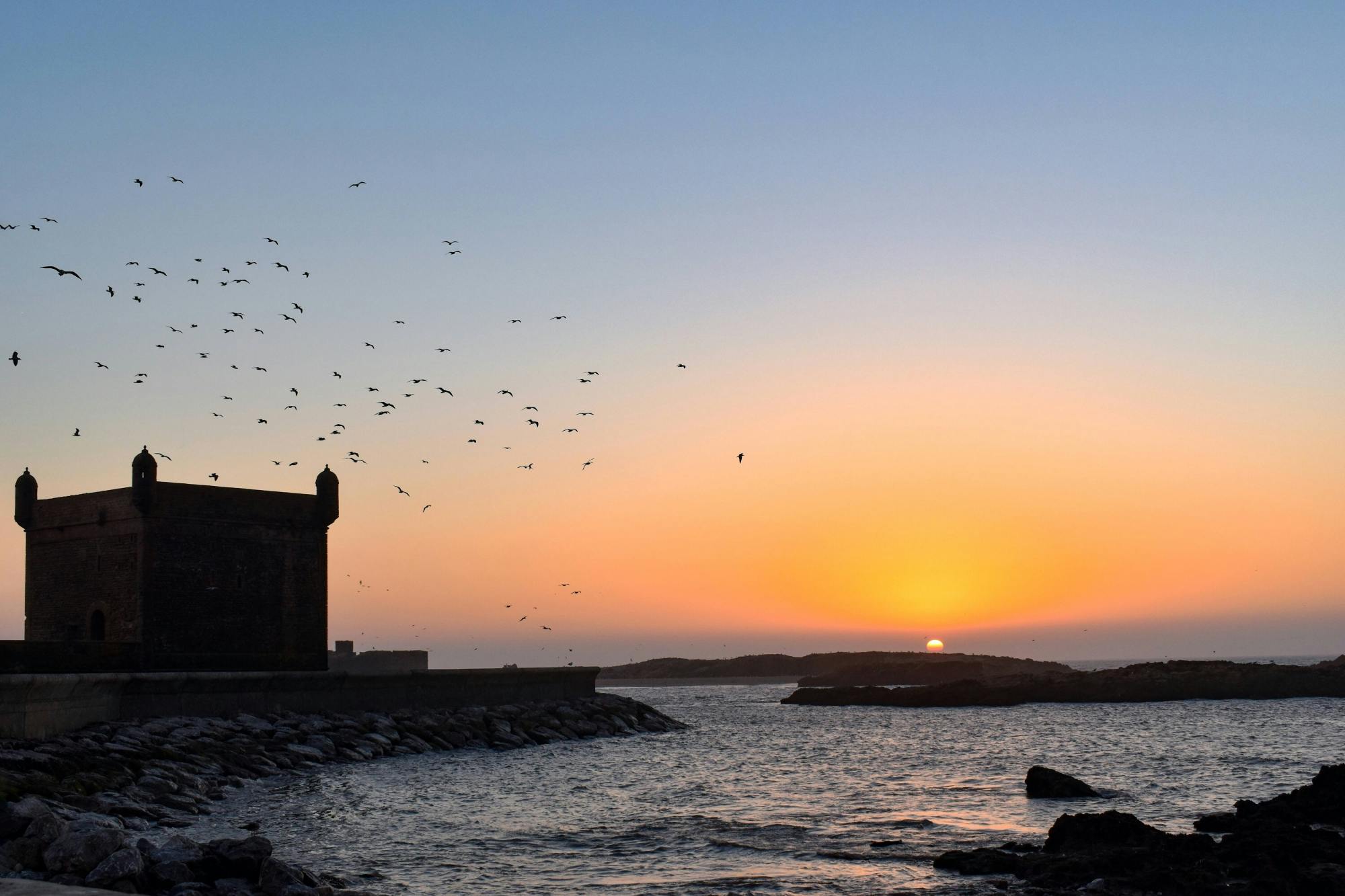 Essaouira Medina and Harbour Tour with Argan Coop Visit