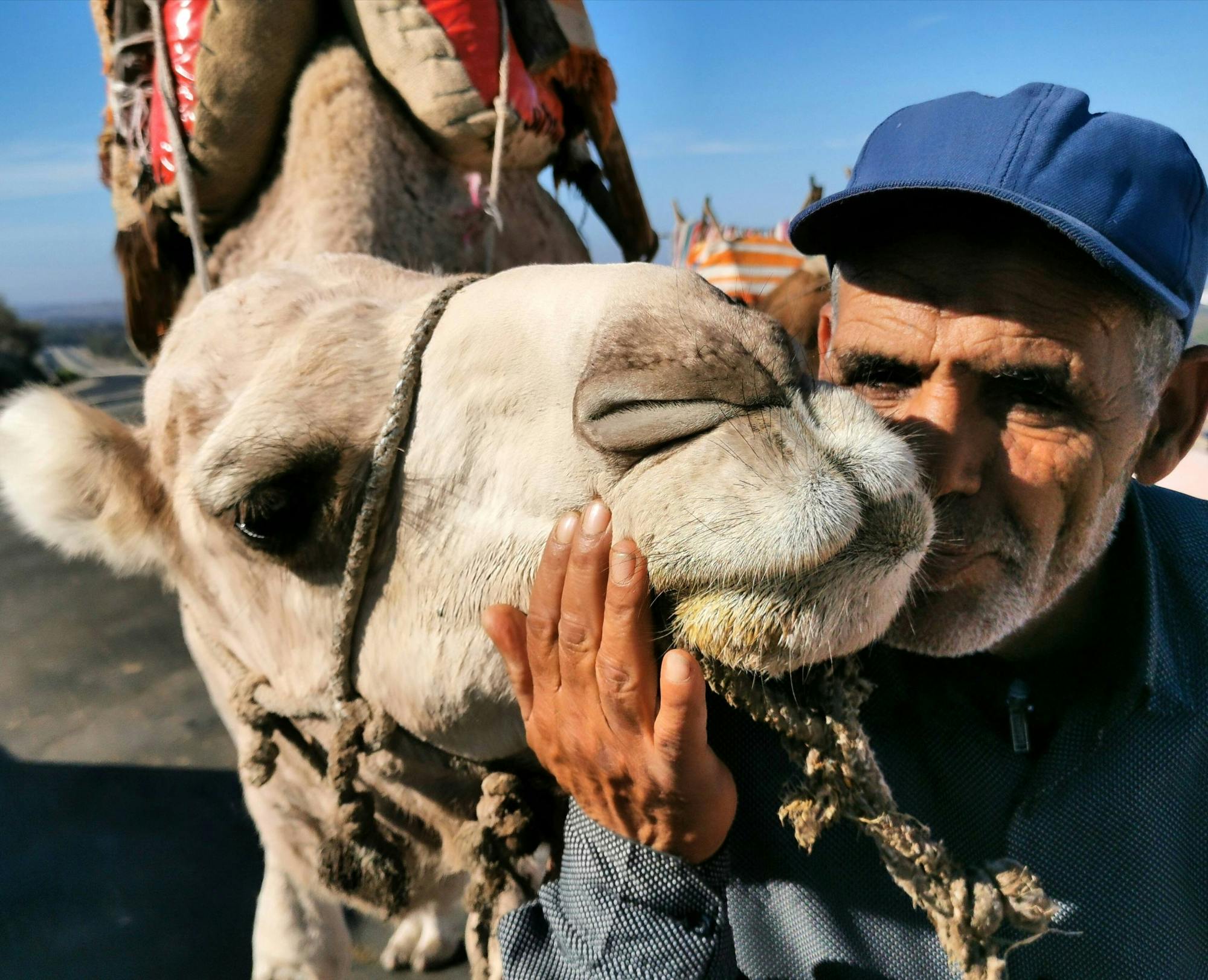 Essaouira Medina and Harbour Tour with Argan Coop Visit