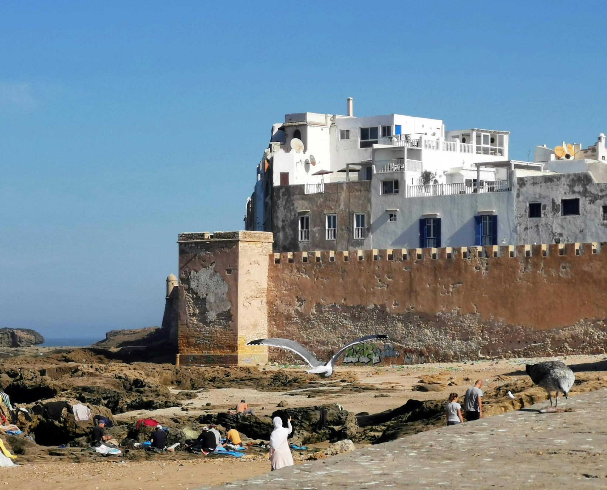 Essaouira Medina and Harbour Tour with Argan Coop Visit