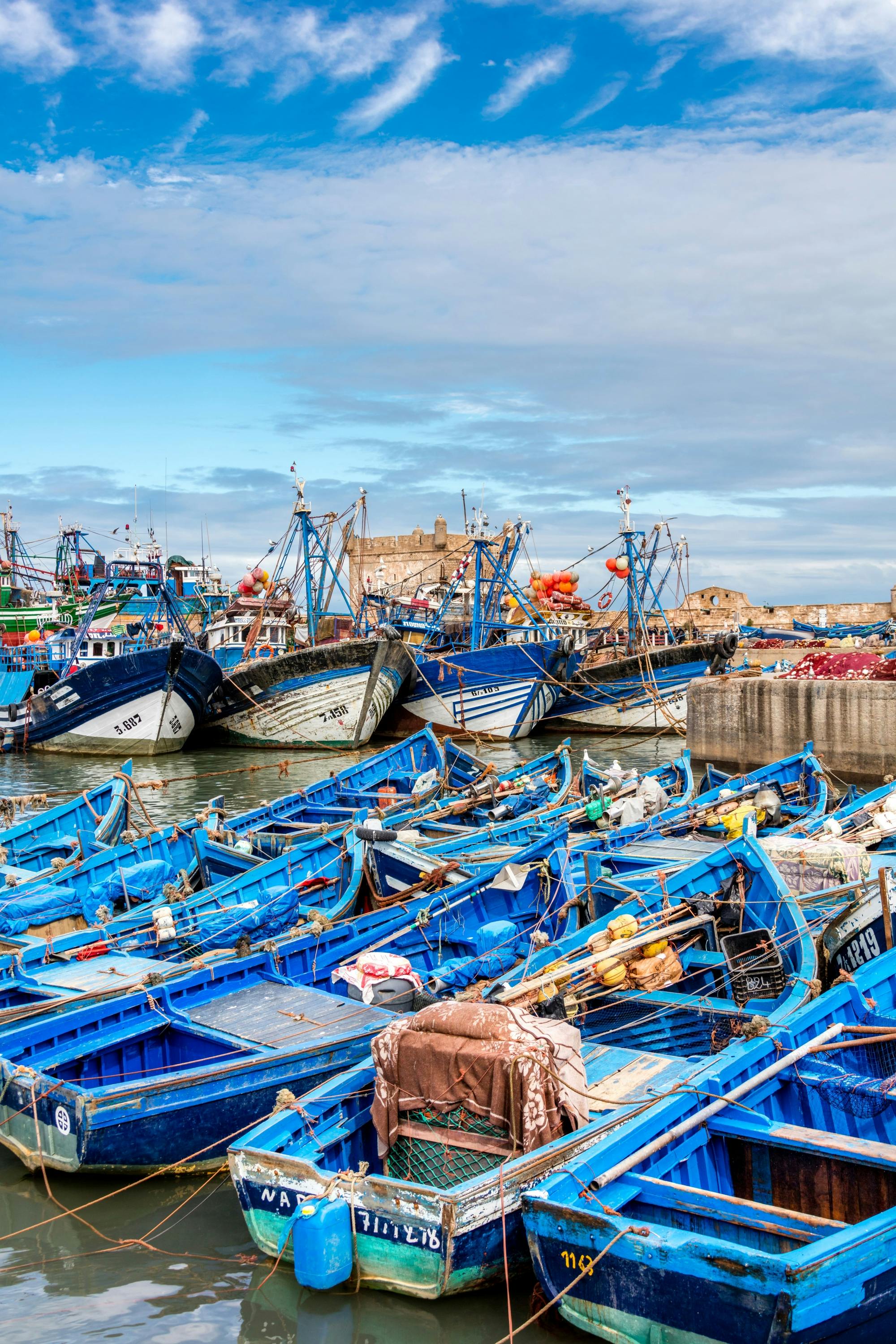Essaouira Medina and Harbour Tour with Argan Coop Visit