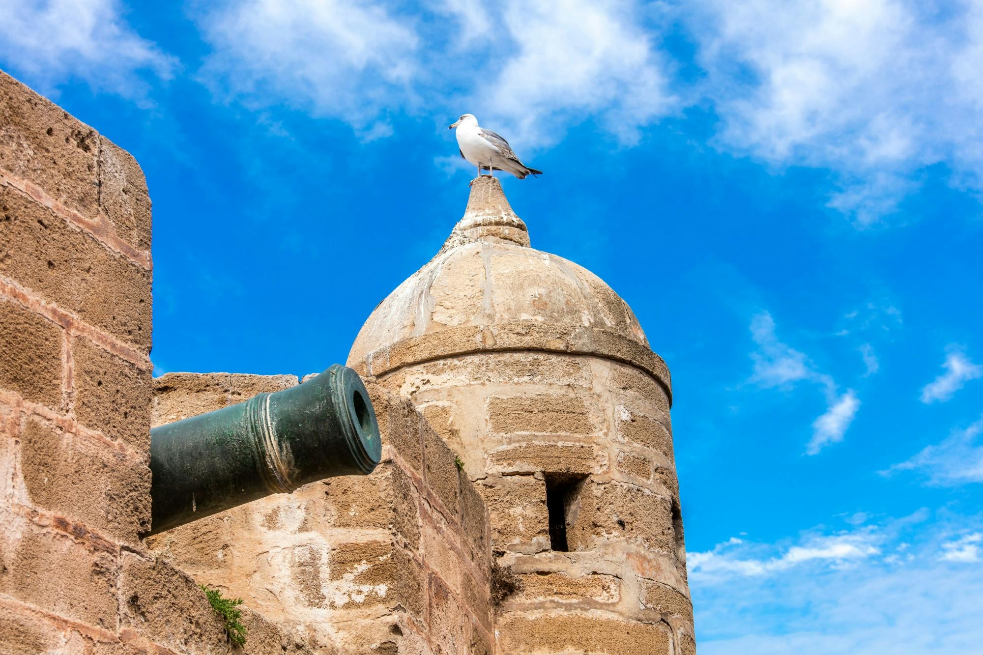 Essaouira Medina and Harbour Tour with Argan Coop Visit