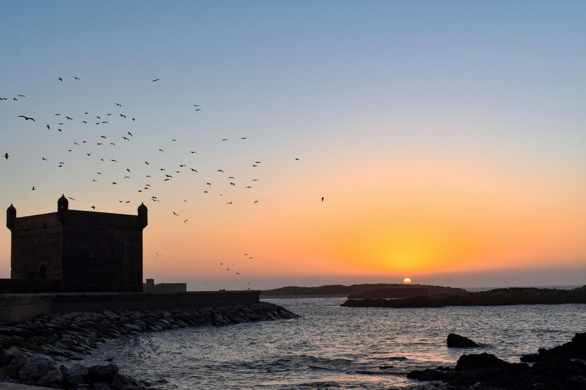 Essaouira Medina and Harbour Tour with Argan Coop Visit