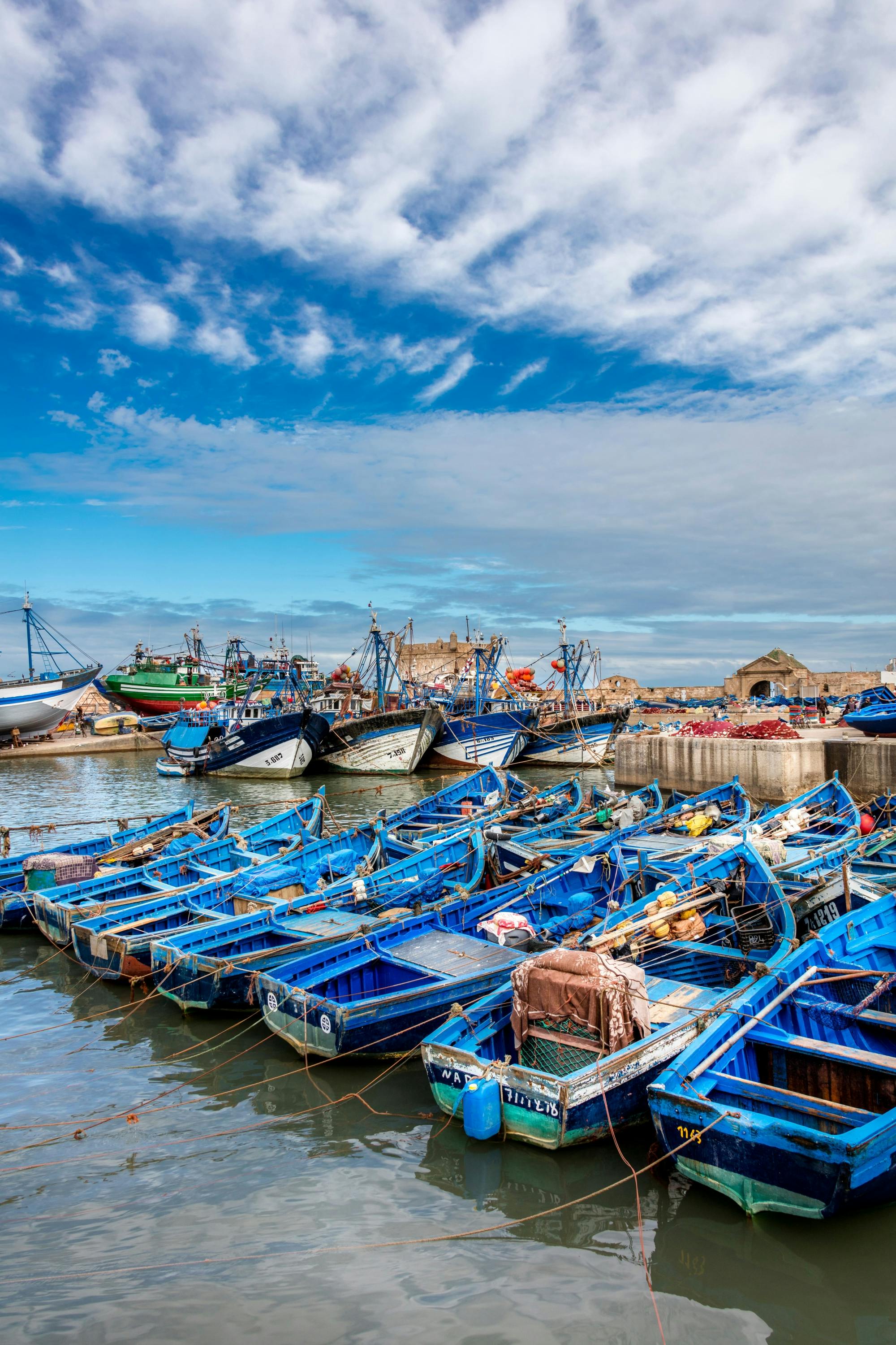 Essaouira Medina and Harbour Tour with Argan Coop Visit