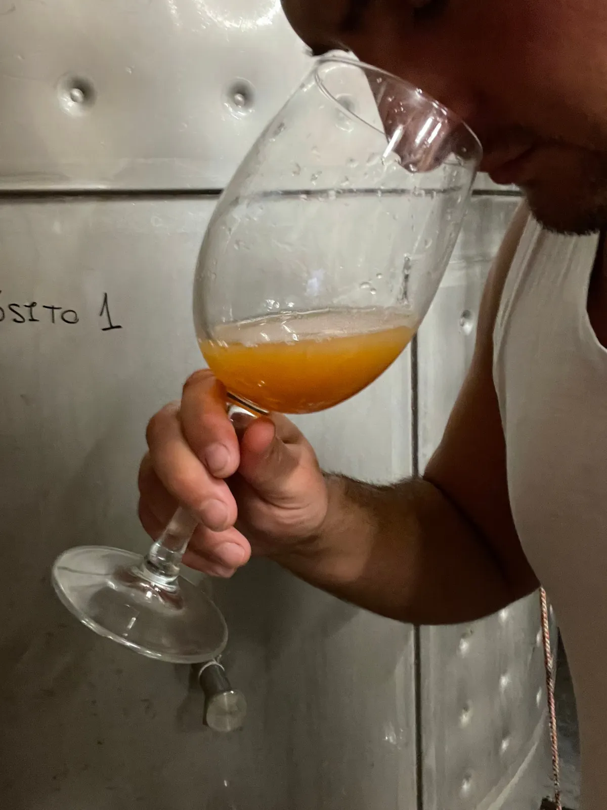 Half-day guided tour and wine tasting at Bodegas Campestral in Arcos