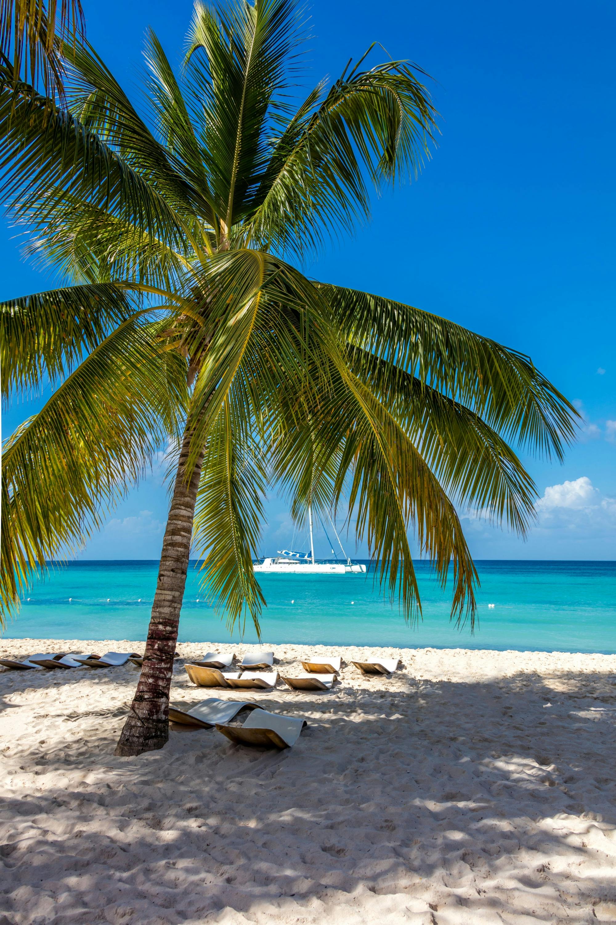 Private Saona Island cruise with exclusive beach and lunch