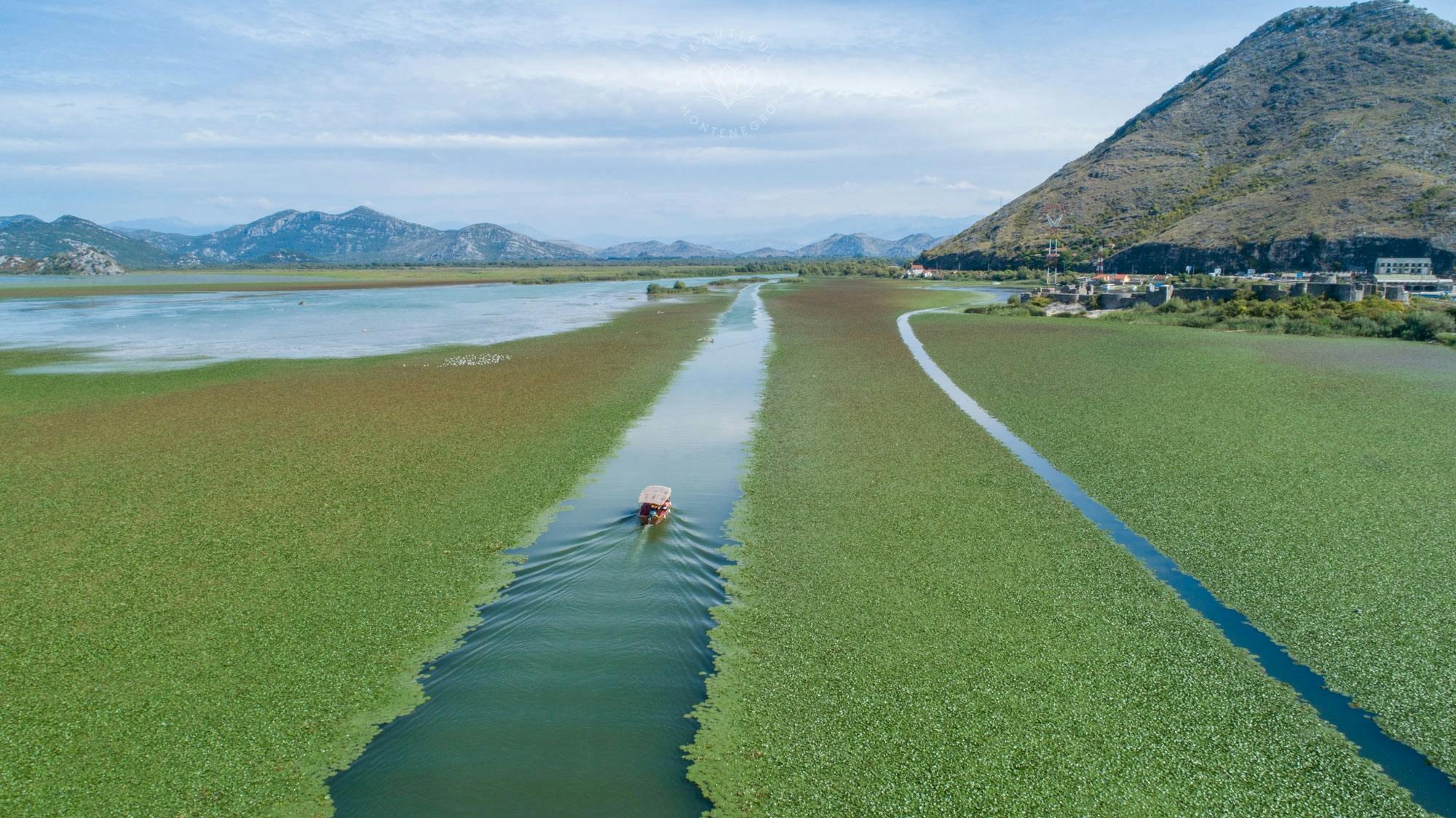 Excursion en bateau sur le lac de Skadar avec transport privé au départ d'Ulcinj