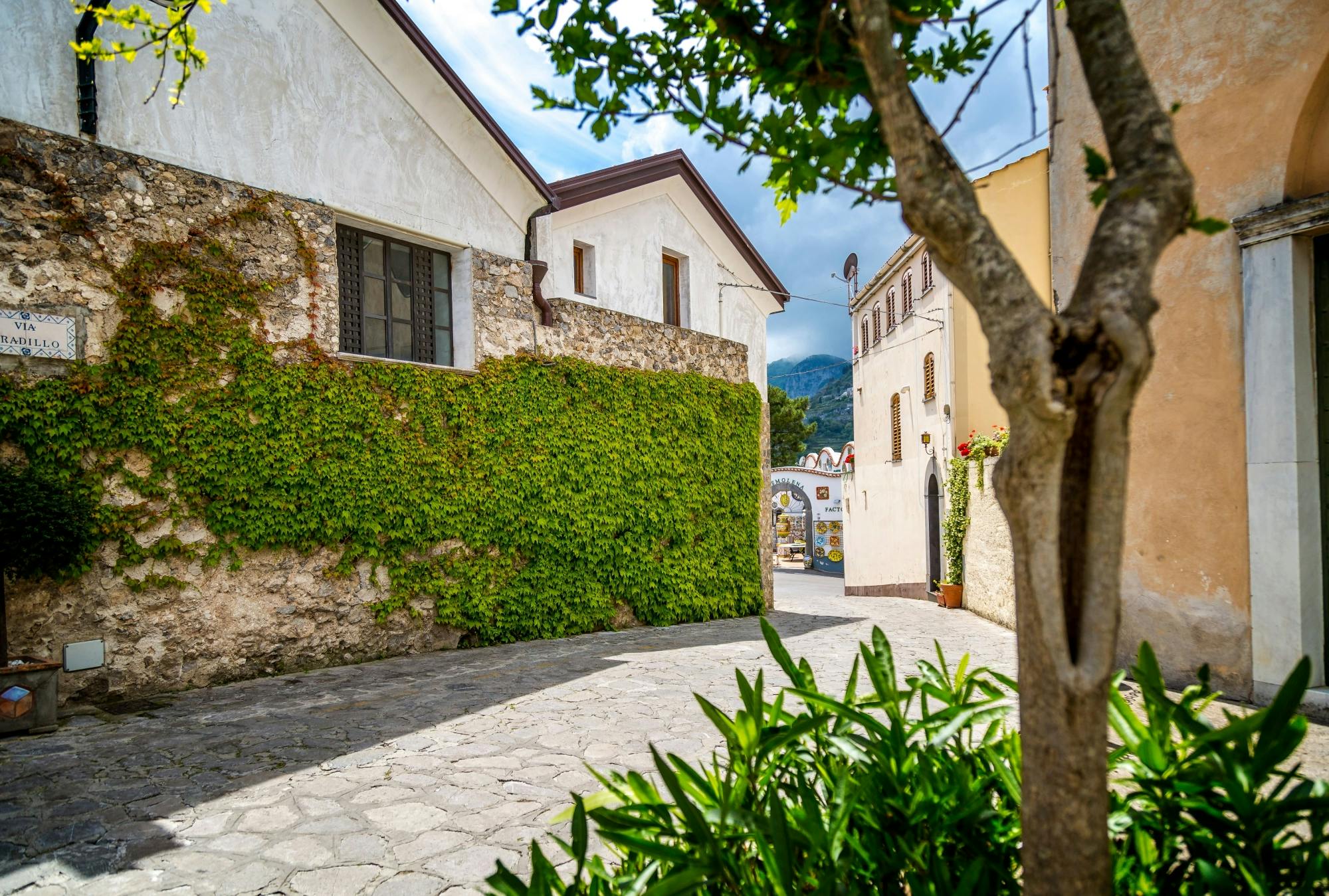 Guided evening tour of Amalfi and Cetara’s signature sights with transfers